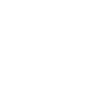 21.ruge films (2)